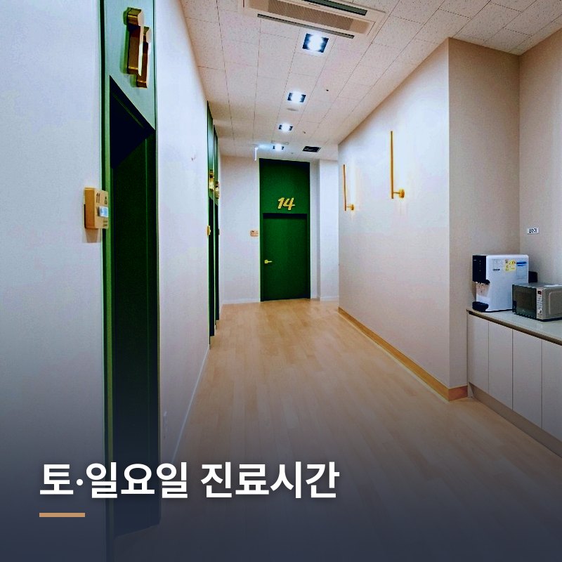 토·일요일 진료시간