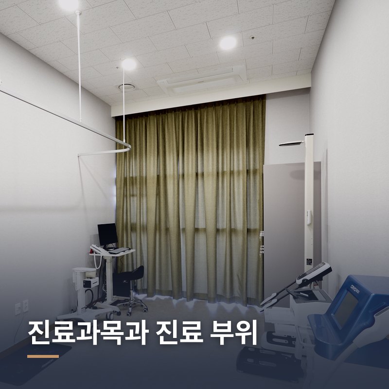 진료과목과 진료 부위